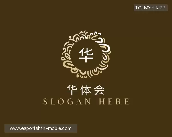 解读华体会电竞